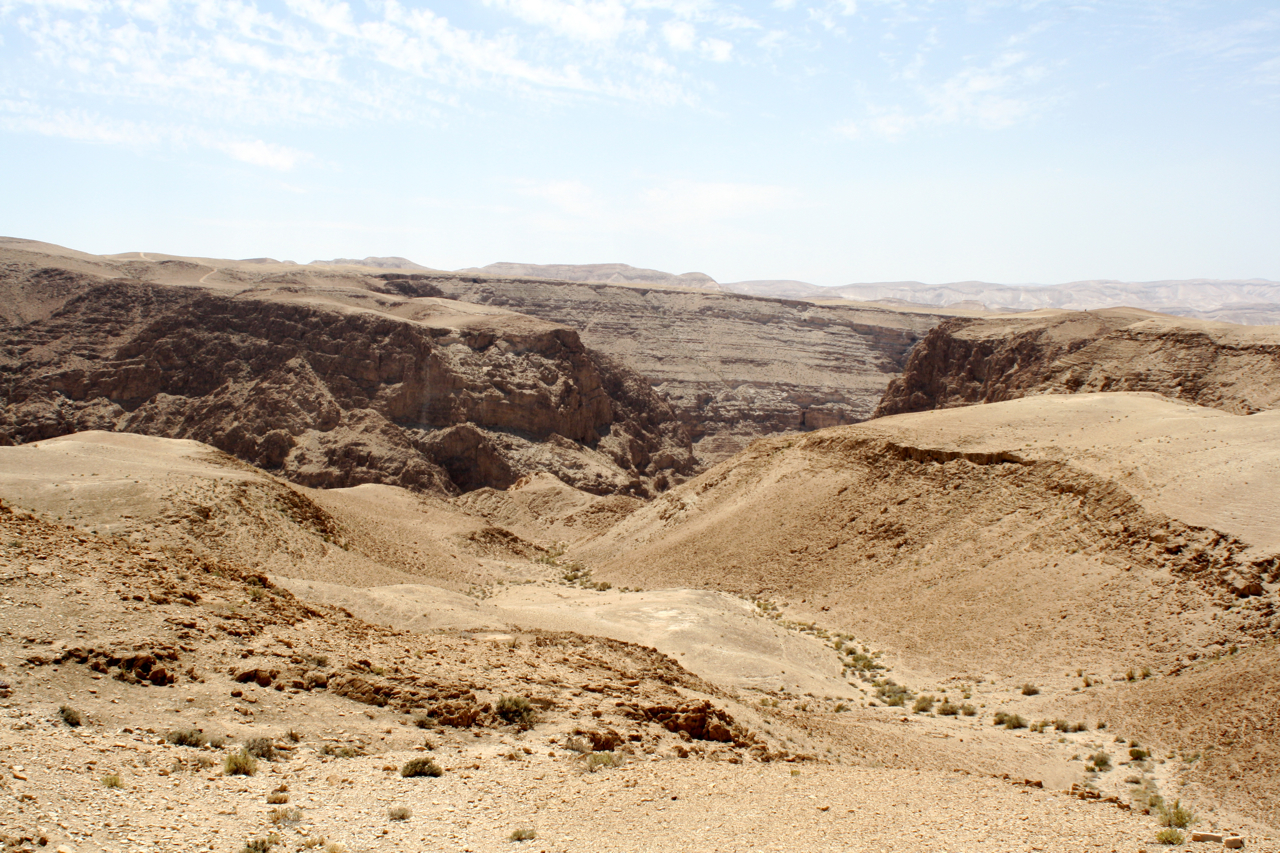 THE JUDEAN DESERT