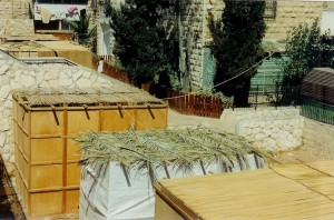 Sukkah Roofs - Thatched huts in Jerusalem