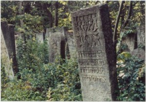 Certain Jewish communities would copy every name from the tombstones in the cemetery, and when the government came to town looking for people, they would tell the officials the person they wanted was dead. Then they would take them to the cemetery to prove it. In one town, everybody was dead. The next town over had tombstones without graves.